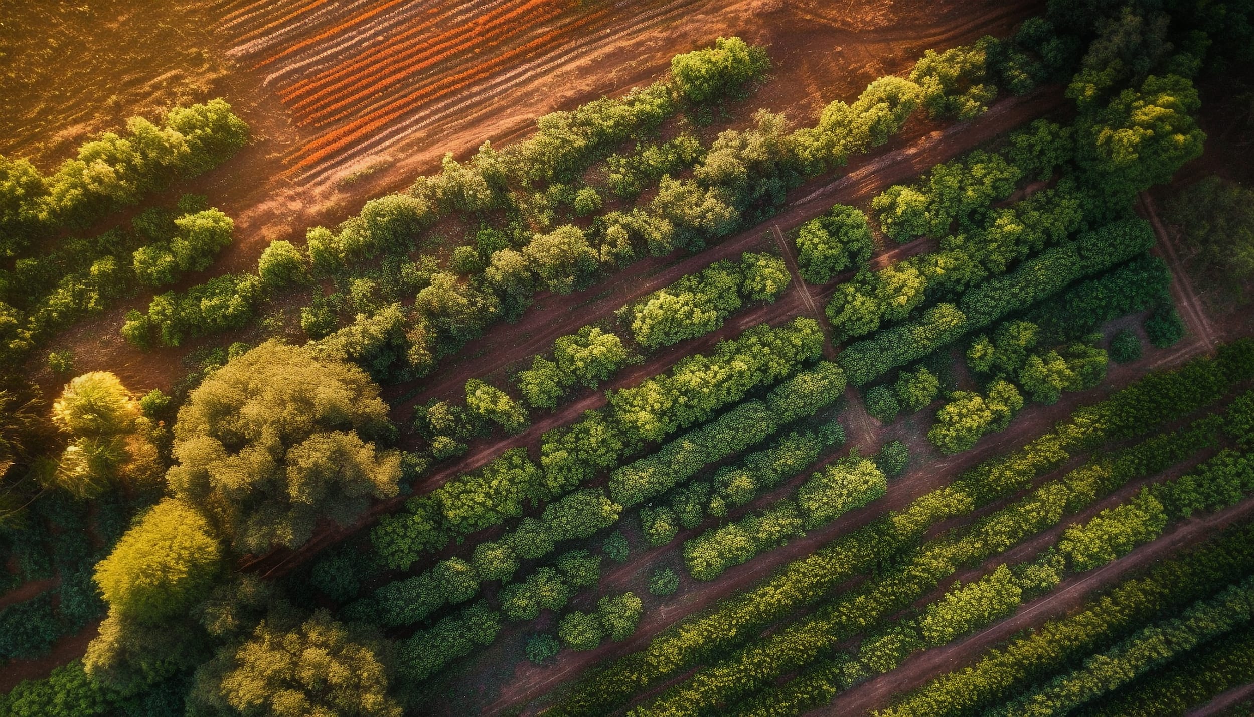 abundance-organic-growth-rural-meadow-generated-by-ai